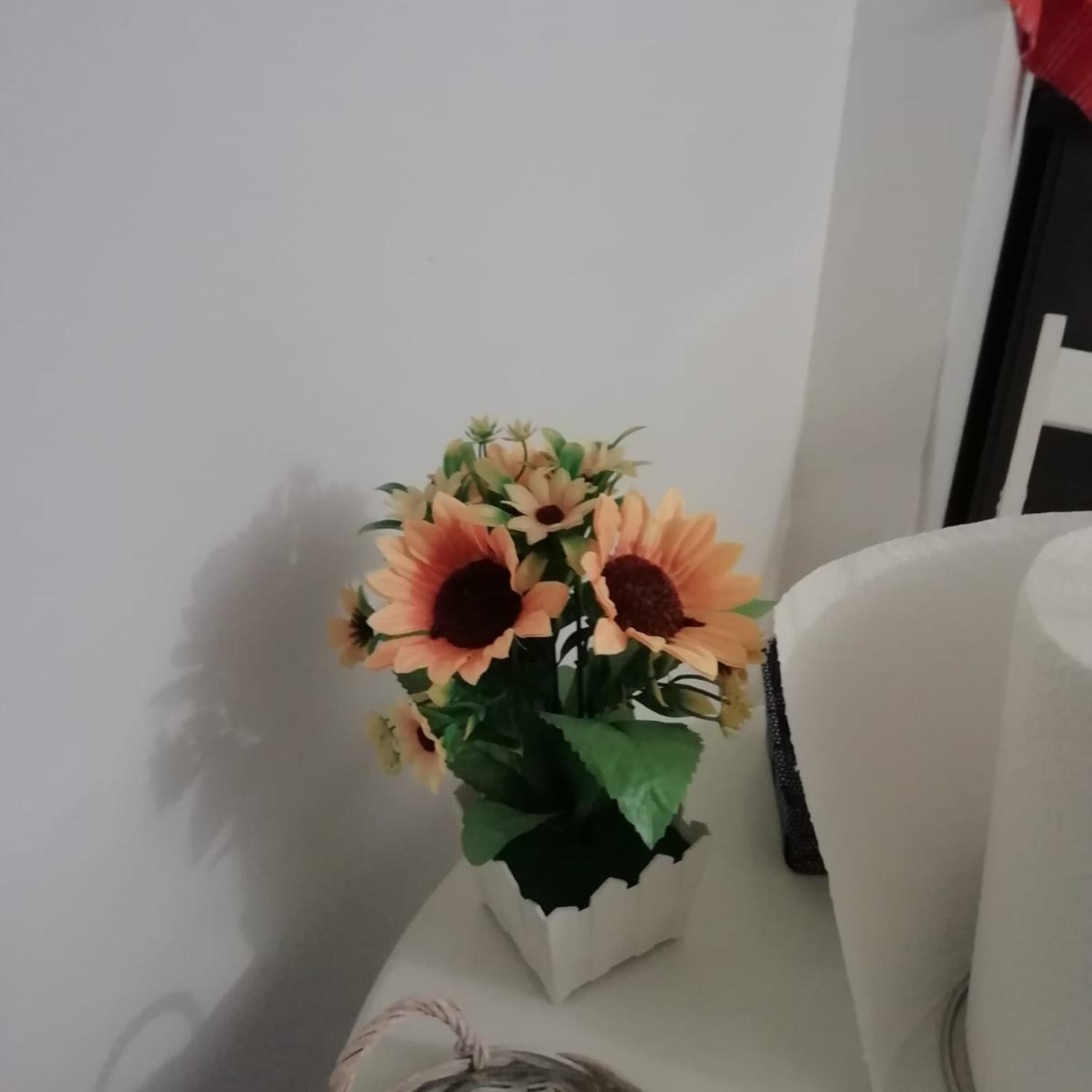 Affection Apartment Болонья Екстер'єр фото